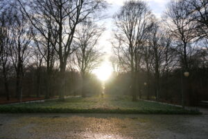 20141225_Berlin_TierGarten2